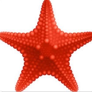 Meet your Posher, Janie B.